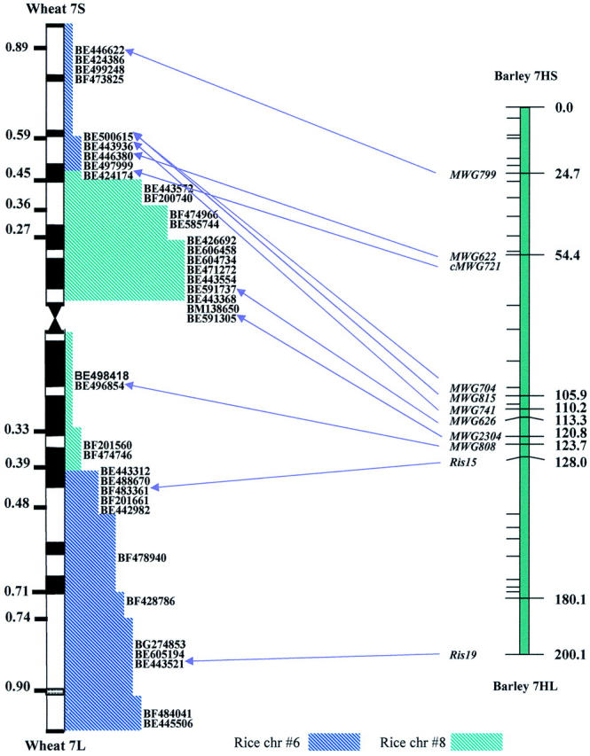 Figure 4.—