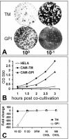 FIG. 8.