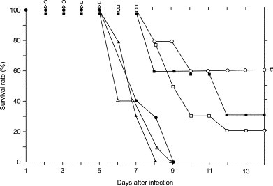 Fig. 7