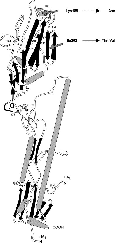 Fig. 5