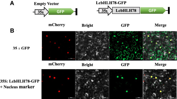 Figure 6