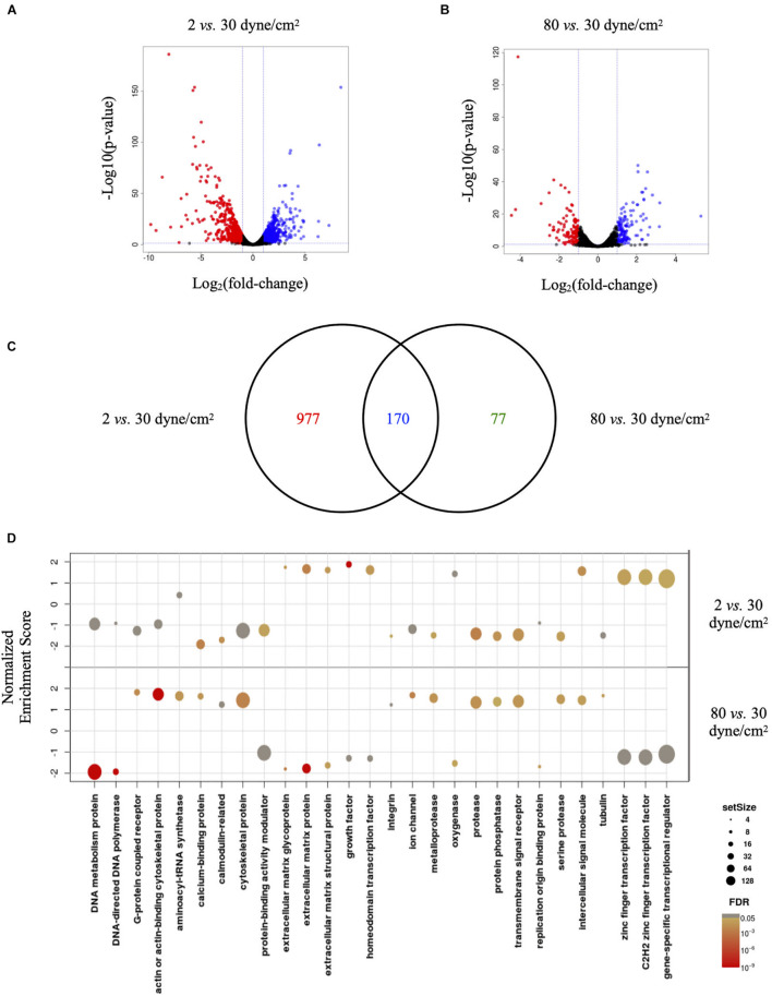 FIGURE 3