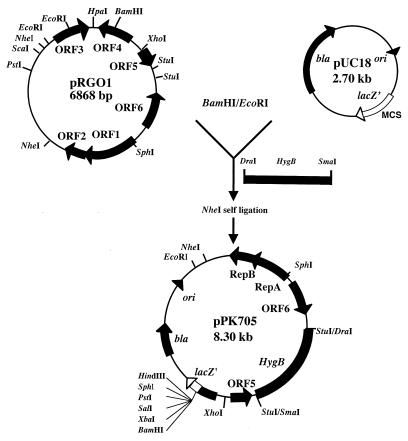 FIG. 5