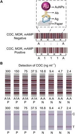 Fig. 3