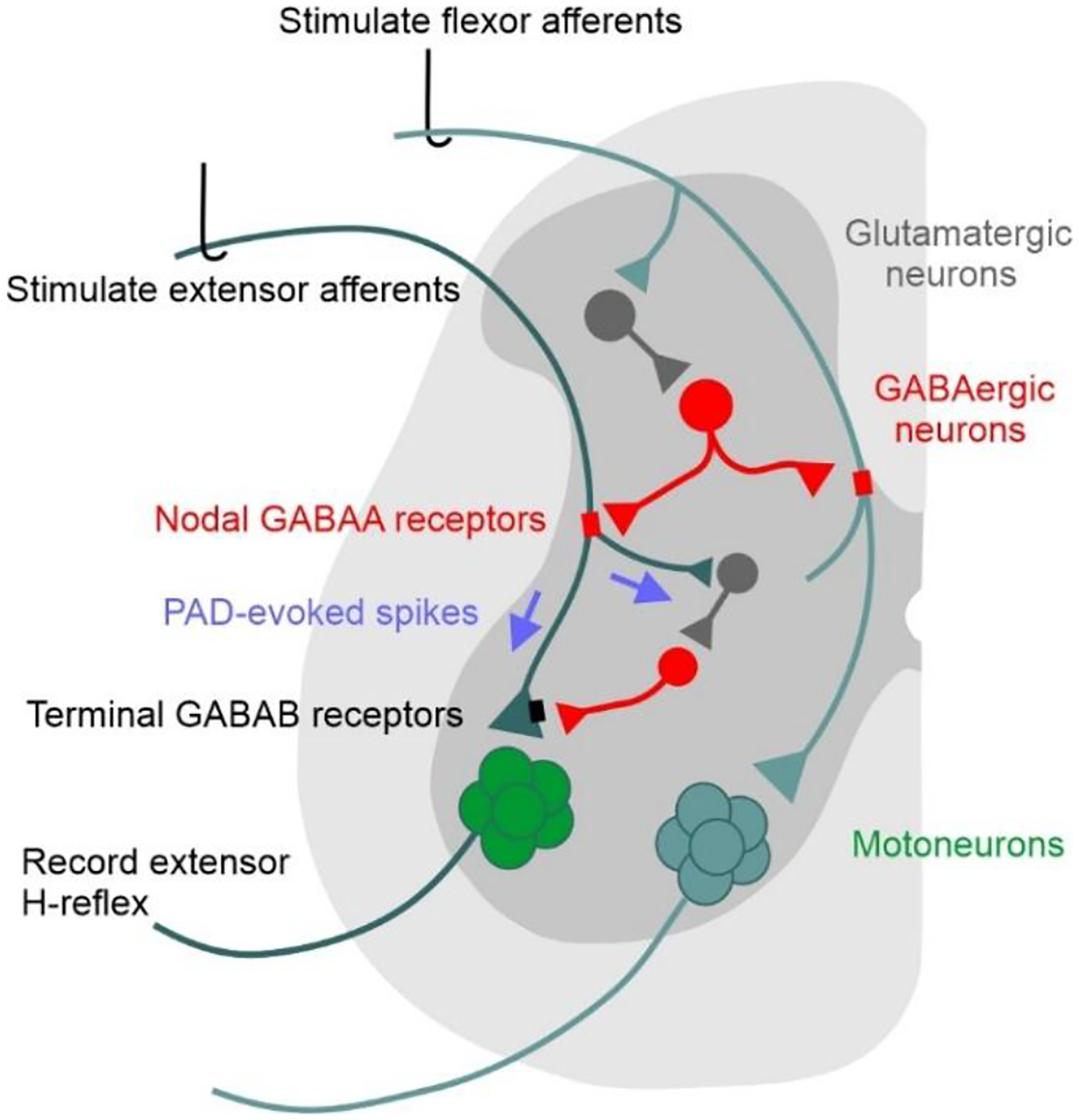 Figure 11.