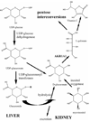Fig. 13