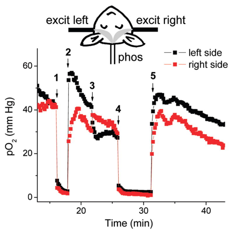 FIGURE 6