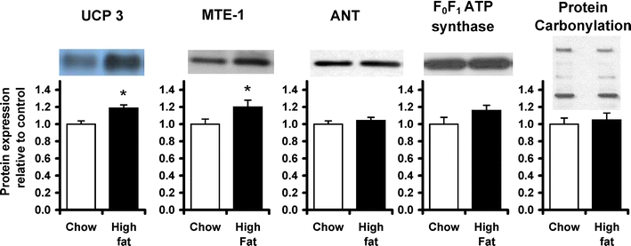 Fig. 6