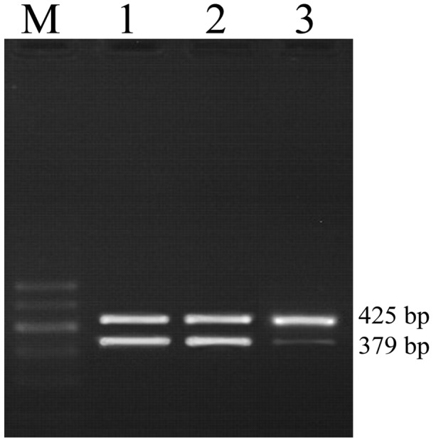 Figure 3.