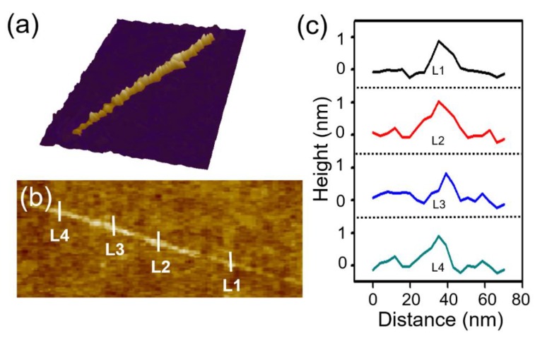 Figure 4