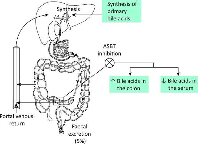 Fig 2.