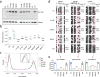 Extended Data Figure 9