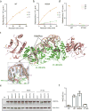 Extended Data Figure 4