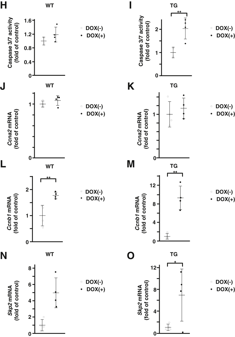 Figure 5