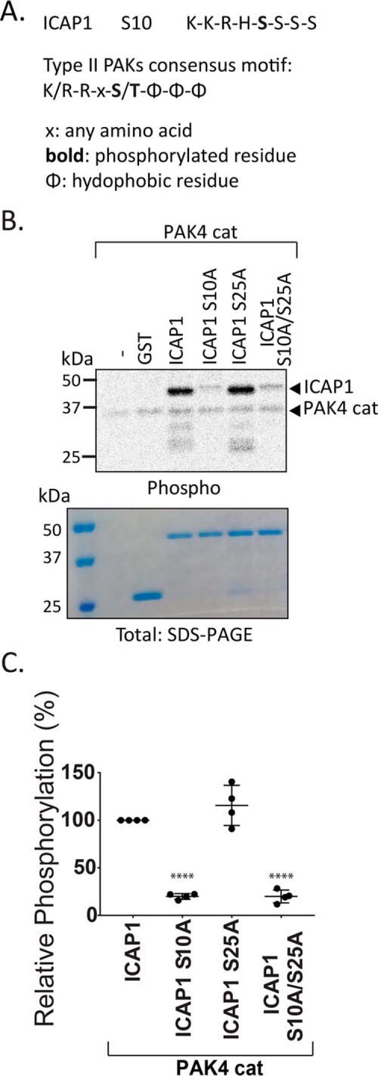 Figure 7.