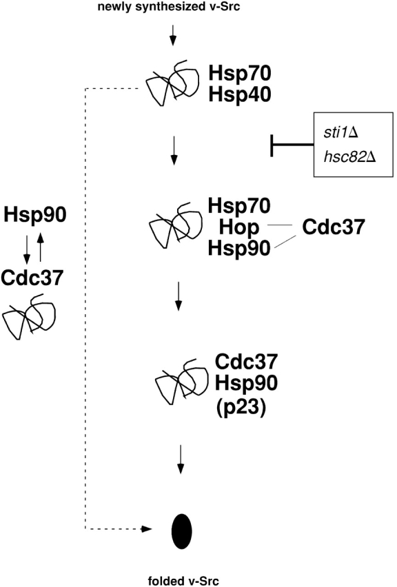 Figure 7.