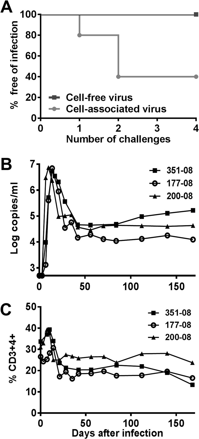 Fig 5