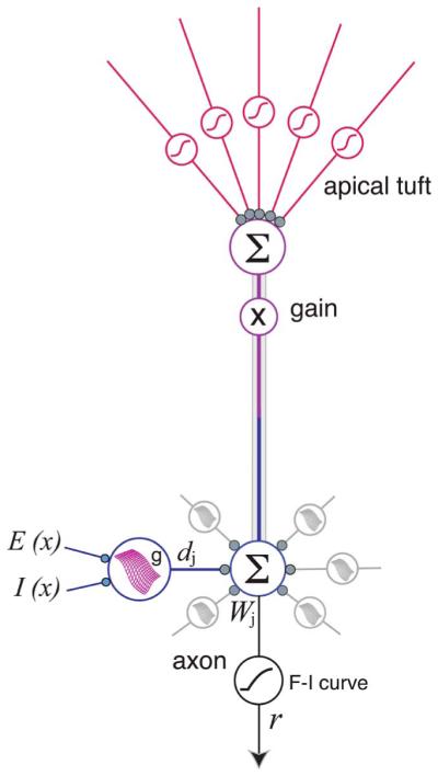 Fig. 8