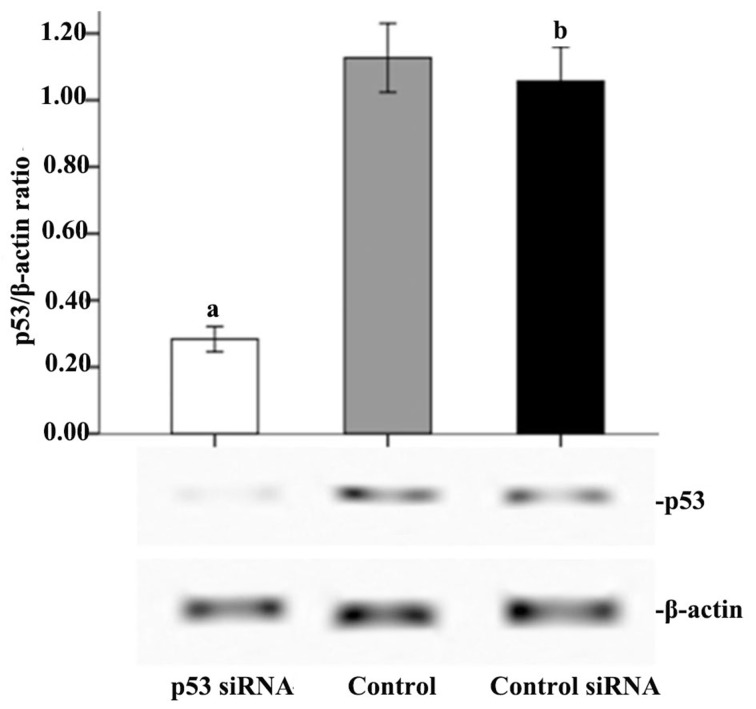 Figure 6.