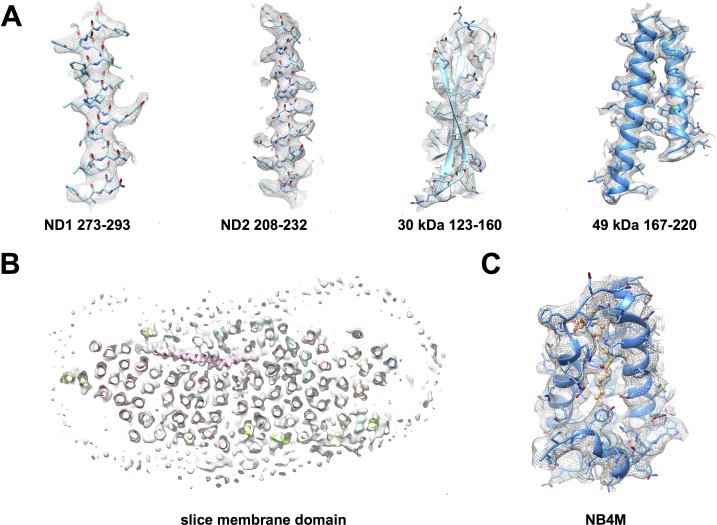 Figure 3.