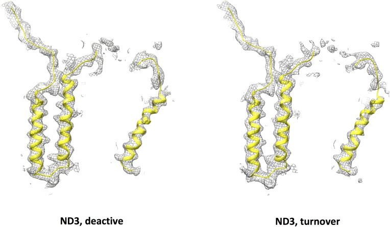 Figure 10.