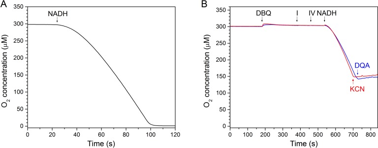 Figure 11.