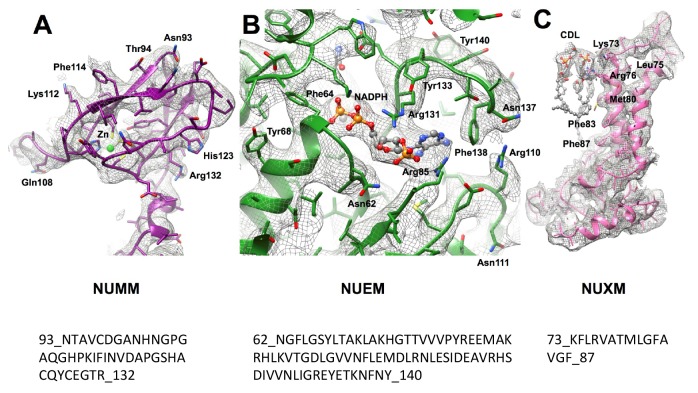 Figure 8—figure supplement 1.