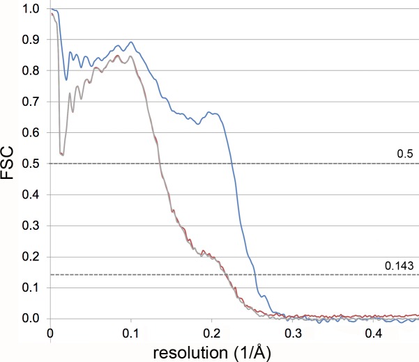 Figure 3—figure supplement 1.