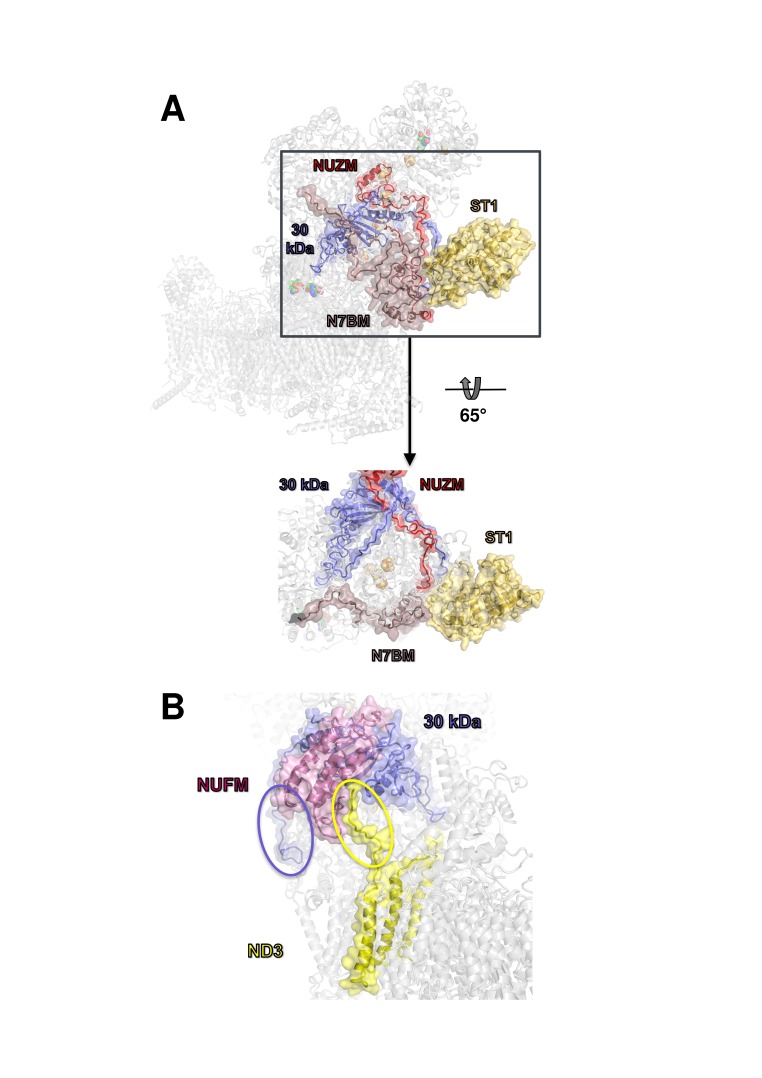 Figure 6.