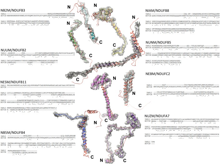 Figure 8—figure supplement 2.