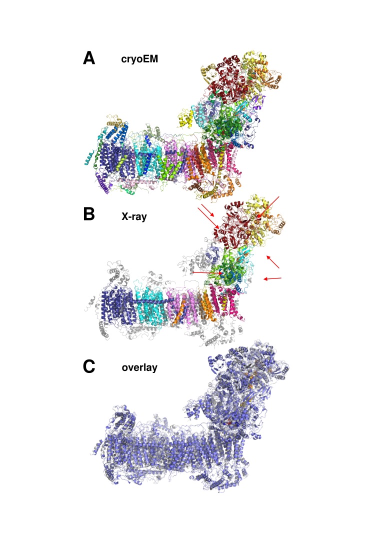 Figure 5.