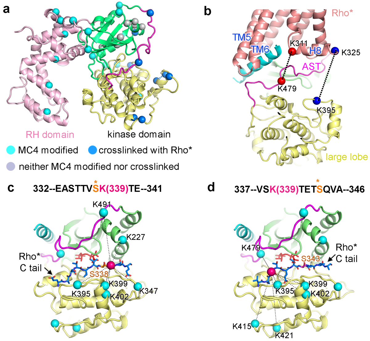 Figure 4.