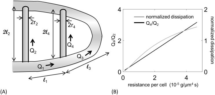 Fig 5