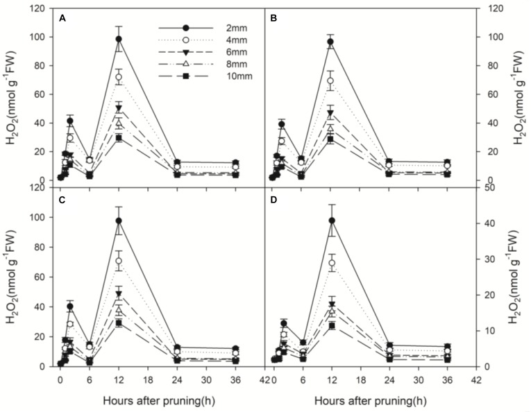 FIGURE 3