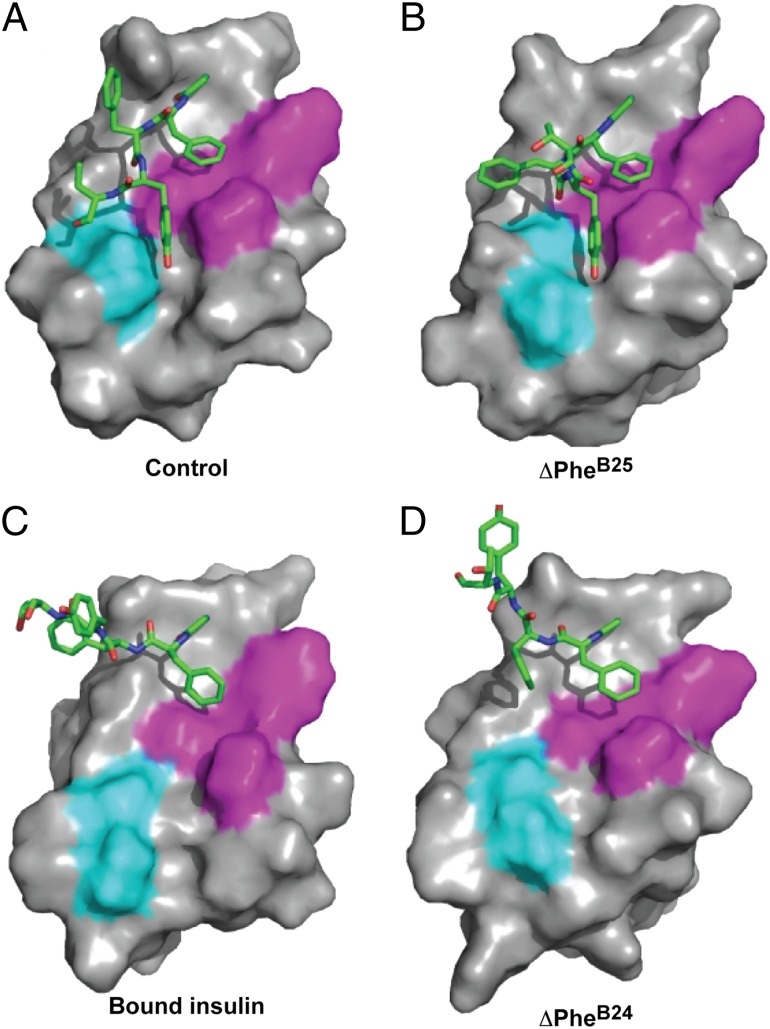 Fig. 8.