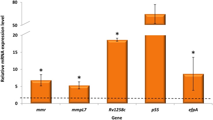 Fig 1