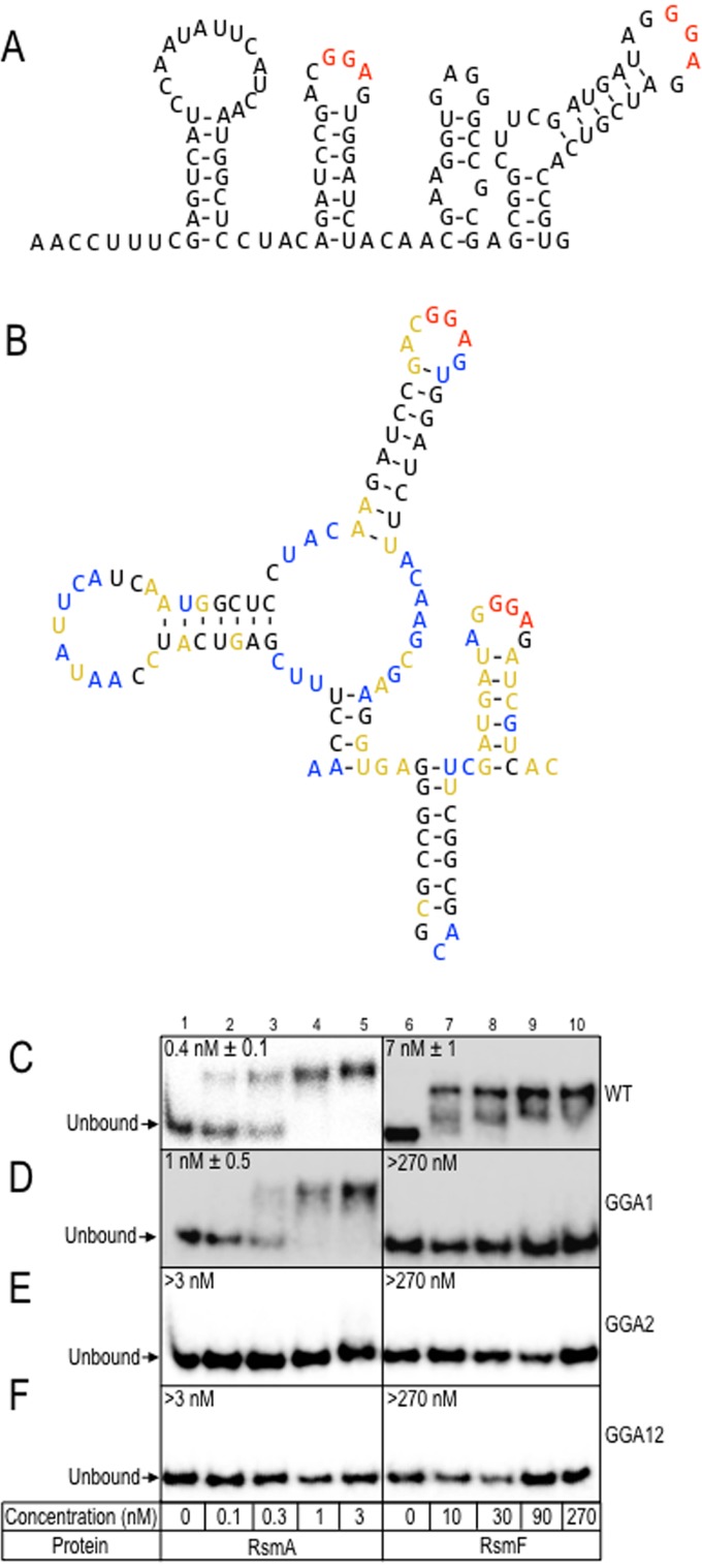 FIG 8