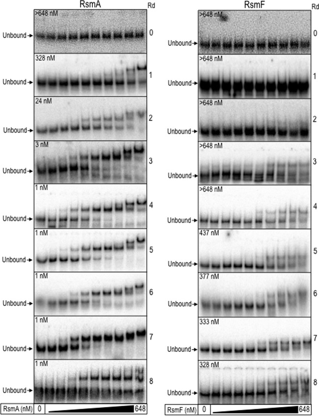 FIG 2