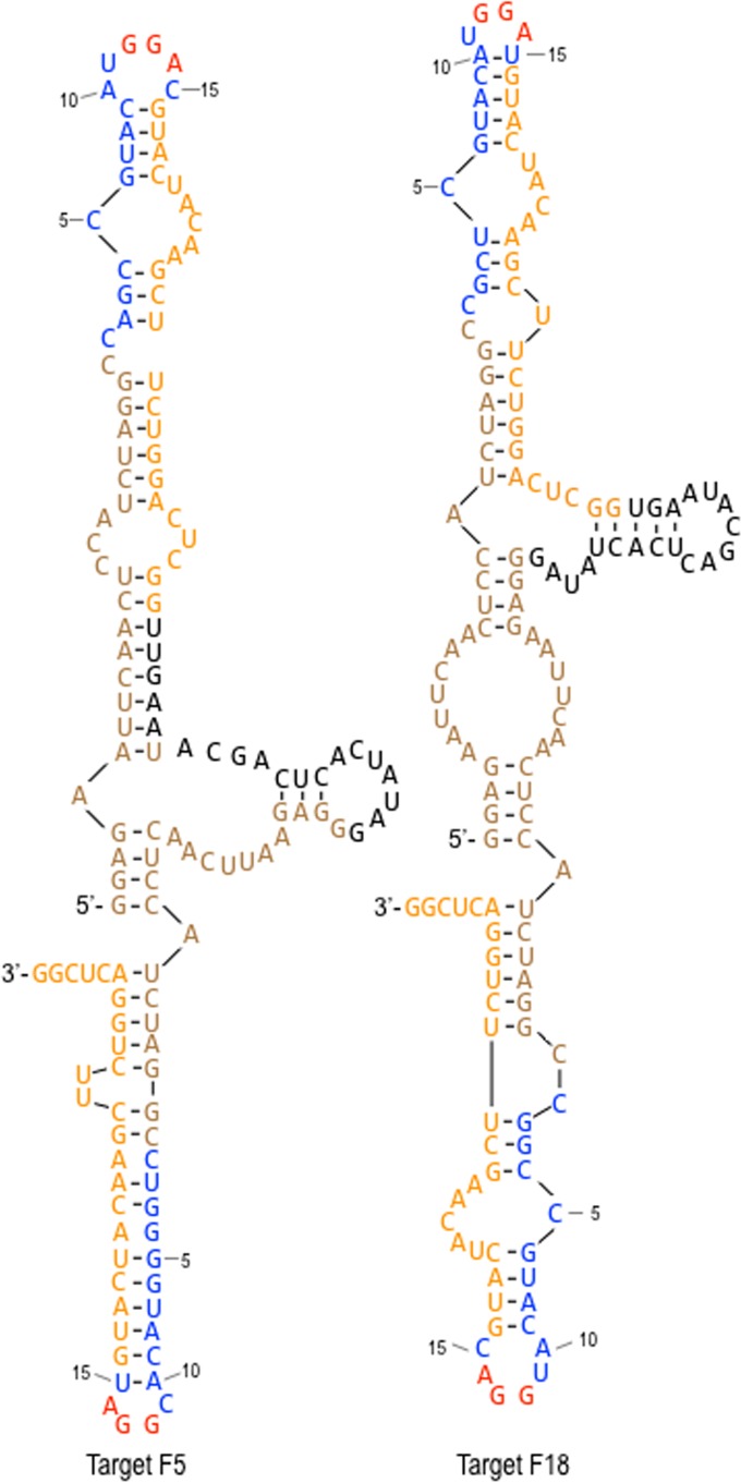 FIG 6