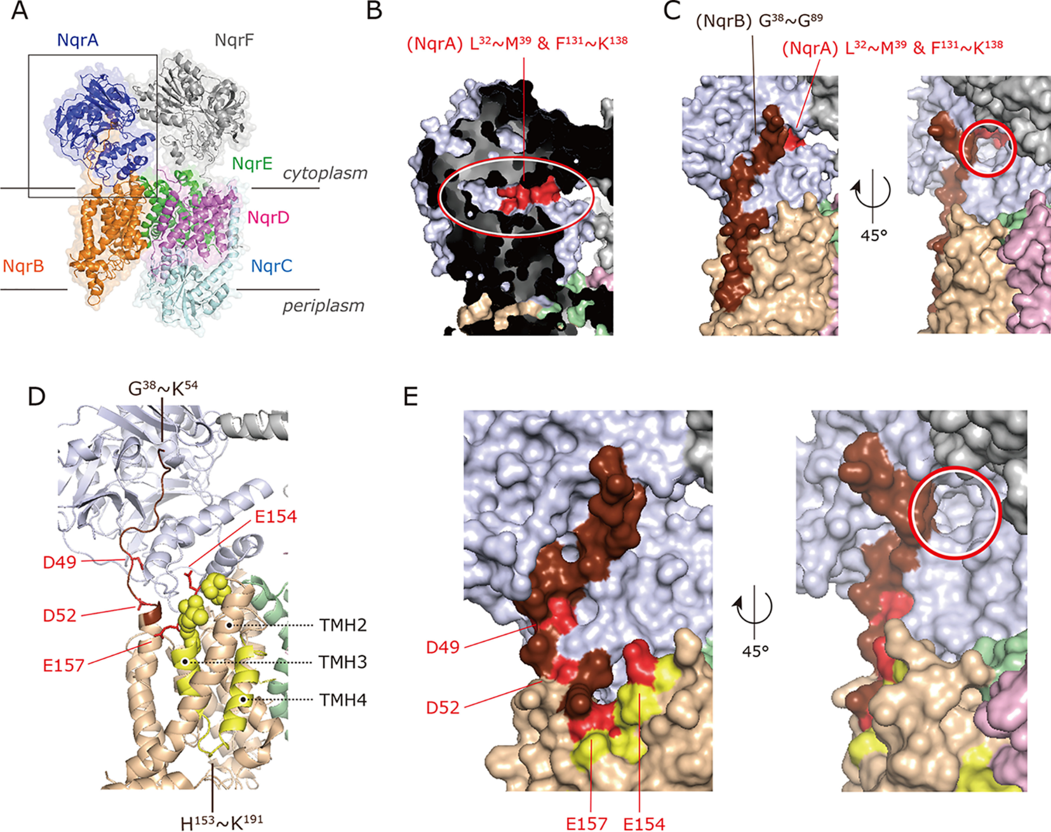 Figure 2.