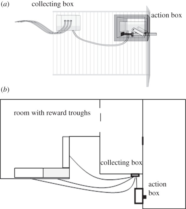 Figure 1.