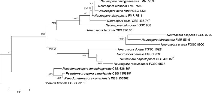 graphic file with name per-32-184-i005.jpg