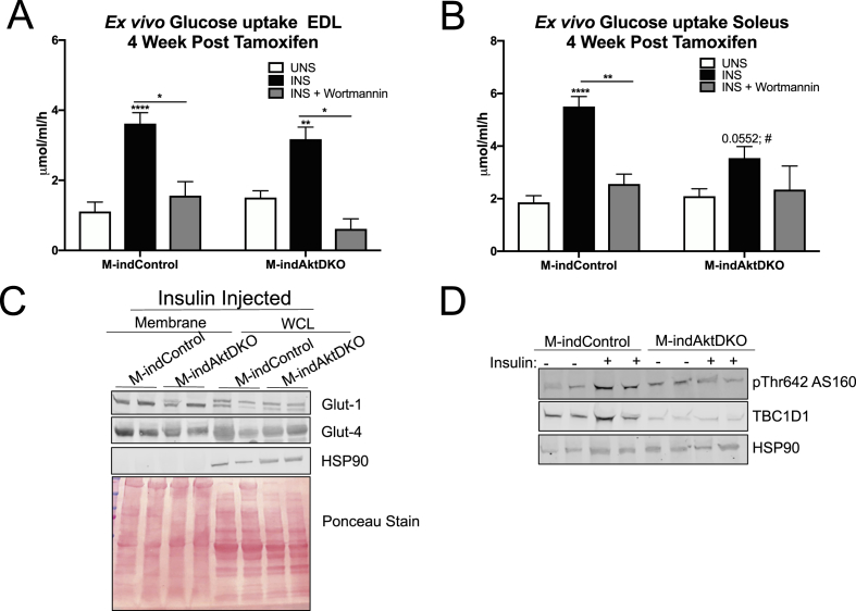 Figure 6