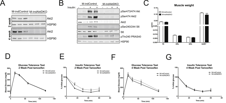 Figure 5