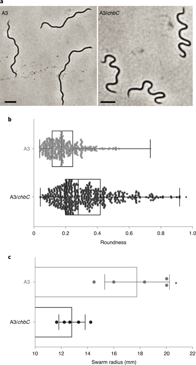 Fig. 5