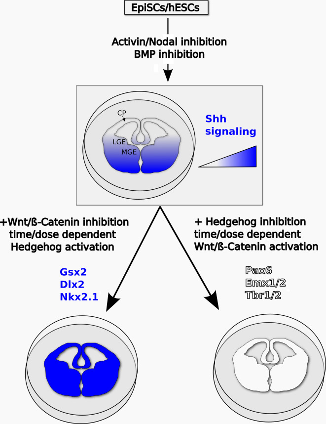Fig. 3