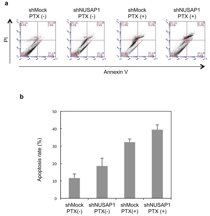 Fig 6