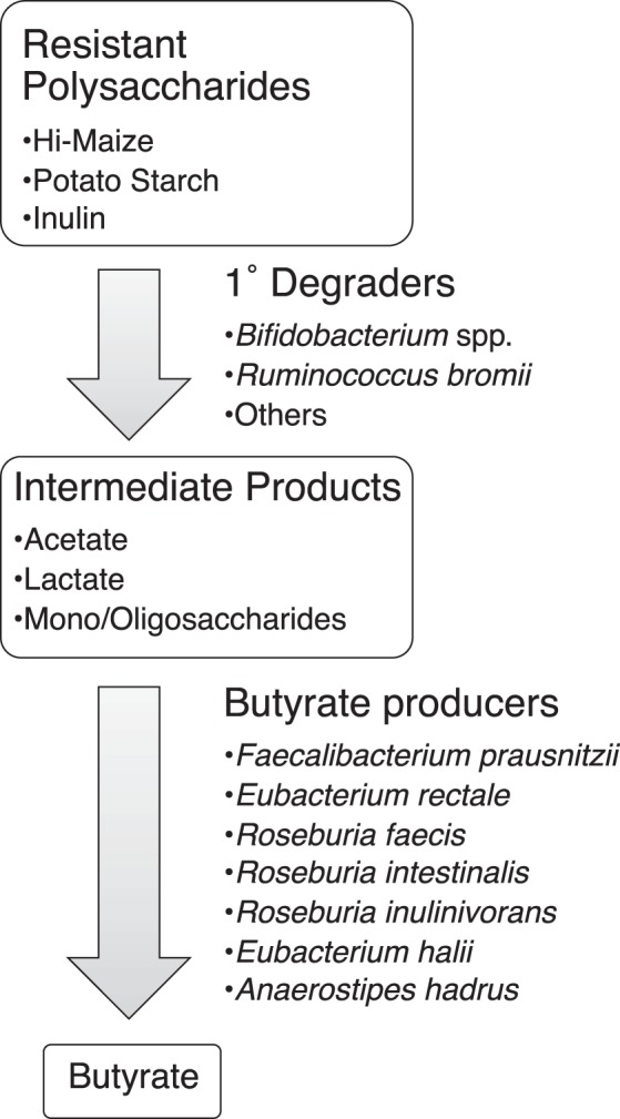 FIG 1