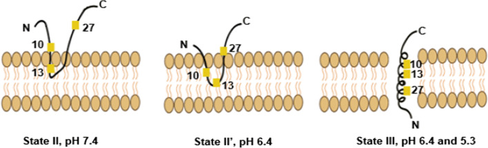 Fig. 2