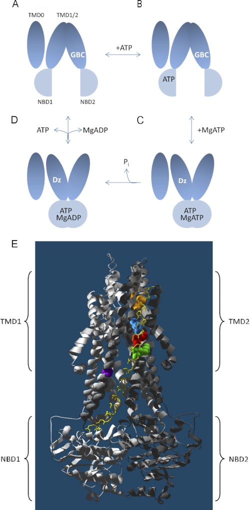 FIGURE 1.